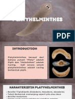 Unit Platyhelminthes