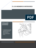 Goniometría Miembros Inferiores