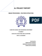 Final Project Report