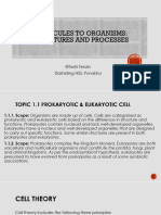 1.1 Prokaryotic Vs Eukaryotic Cells