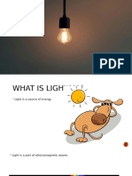 Light