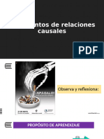 4. Argumento de relaciones causales_2023_1C