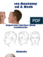 Head&Neck SurfaceAnatomy