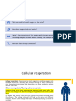 5.2 - 5.3 - Aerobic and Anaerobic Respiration