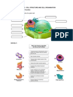 Cell Structure and Ion