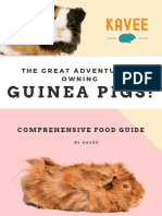 Guinea Pig Food Guide