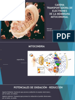 Cadena Transportadora de Electrones