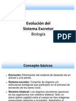 Trabajo Evolucion Sistema Excretor