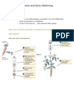 Genomic Equivalence and Early Patterning