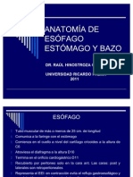 Anatomia de Esofago Estomago y Bazo