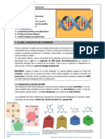 GENÉTICA MOLECULAR Apuntes