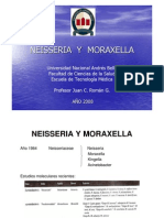 Neisseria y Moraxella