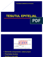 Prezentare Epitelii Acoperire1