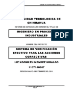 Proyecto Sistema de Verificacion Capa