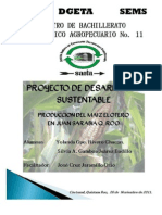 Proyecto Maiz Elotero