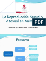 Tipos de Reproduccion