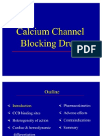 Calcium Channel Blockers