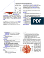 Anatomy and Physiology of The Cerebrovascular System