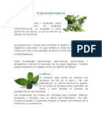 Plantas Medicinales