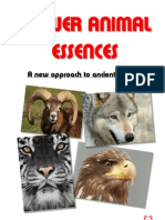 The Power Animal Essences