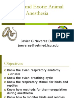 Avian and Exotic Animal Anesthesia