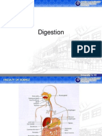 Sistem Pencernaan (Digestion System)