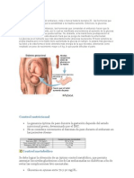 Fisiopatología Diabetes Gestacional