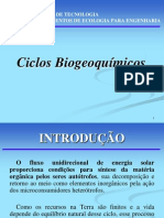 Capítulo 4 - Ciclos Biogeoquímicos