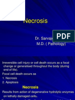 Necrosis, Gangrene & Calification1