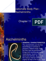 Chapter 11 Pseudocoelomate Body Plan Student