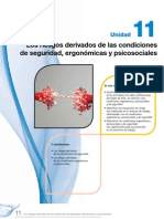 Riesgos Derivados de Las Condiciones de Seguridad, Ergonómicas y Psicosociales