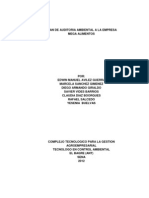 Plan de Auditoria Ambiental A La Empresa