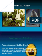 La Palta Hass