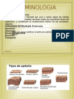 Anatomia Dental Completa