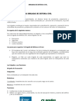 Brigadistas de Defensa Civil PDF