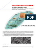 Biologia Terceiro Ano