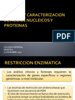 Analisis de Acidos Nucleicos