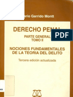 Derecho Penal Tomo II - Garrido Montt, Mario