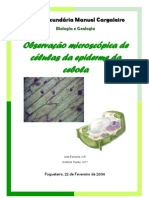 Relatório - Observação Microscopica de Celulas Da Epiderme Da Cebola