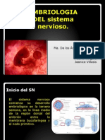 EMBRIOLOGIA DEL Sistema Nervioso