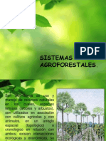 Sistemas Agroforestales