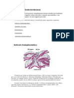 Sistema de Endomembranas