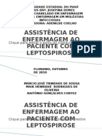 Assistência de Enfermagem Ao Paciente Com Leptospirose