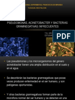 Pseudomonas Acinobacter y Bacterias Gramnegativas Infrecuentes