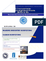 Marine Industry Surveying Cargo Surveying