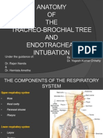 Tracheobronchial Tree