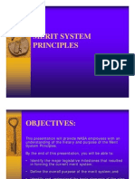 Nine Merit Principles