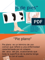 Pie Plano