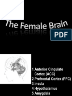 The Female Brain