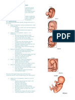 PBL SS 2 - Fetal Development